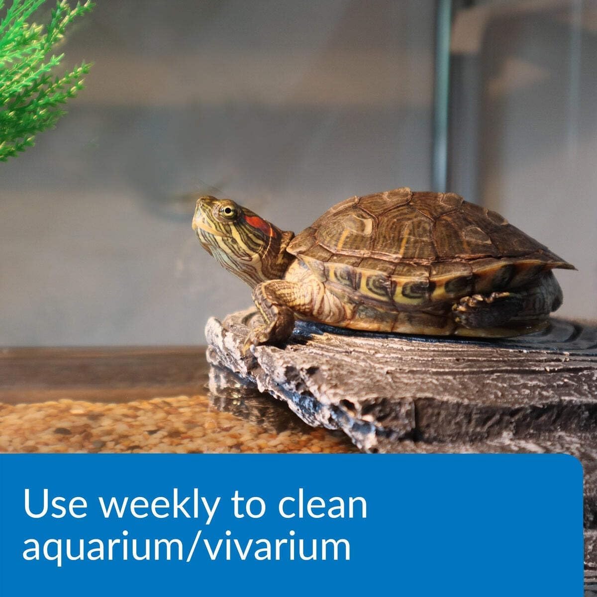 API TURTLE SLUDGE DESTROYER Aquarium Cleaner and Sludge Remover Treatment 4-Ounce Bottle
