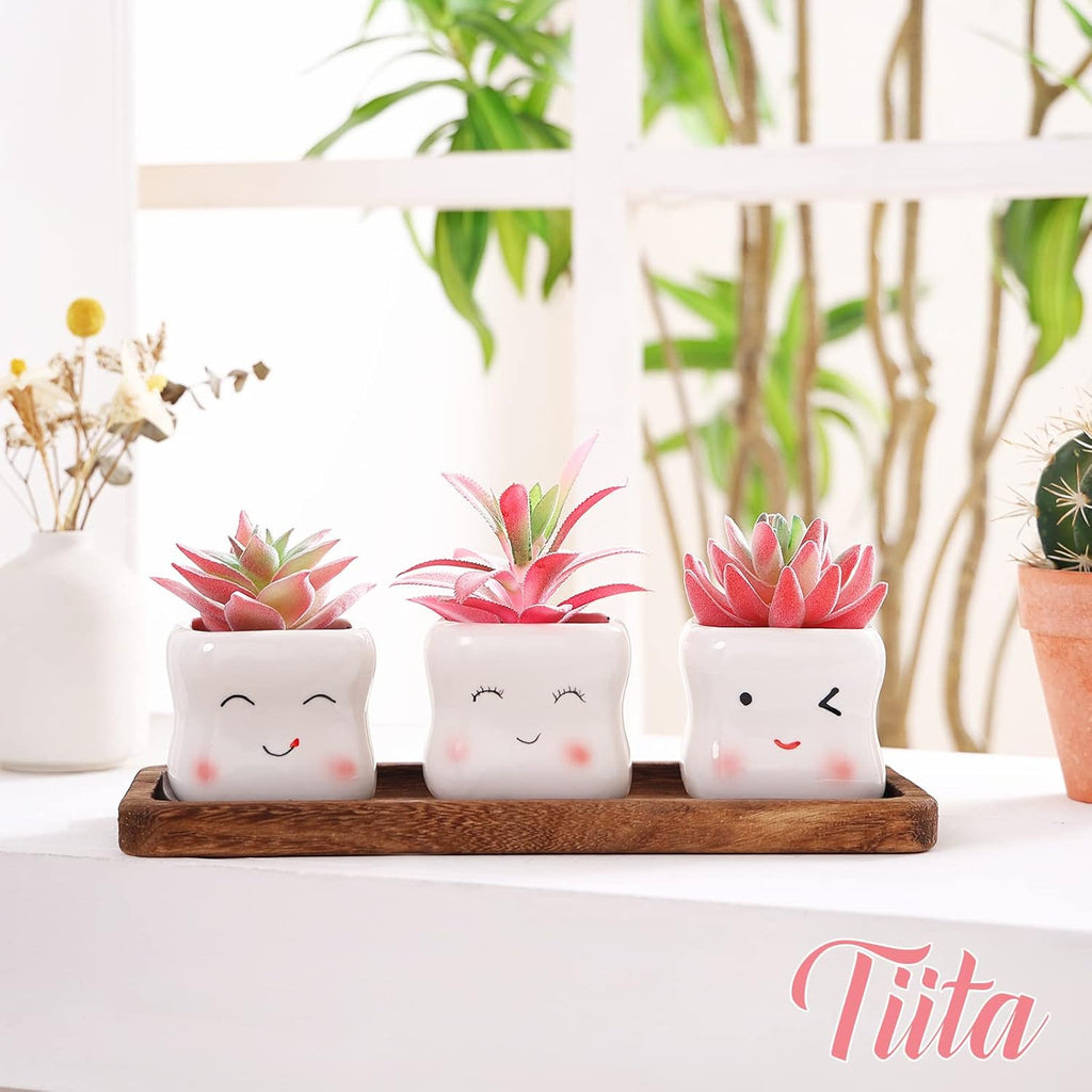 Tiita Cute Artificial Faux Succulents in Pots, Pink Fake Plants Ceramic Arrangement Planter Small Mini Tiny Decoration for Home Office Accessories Women Desk Window Sill Bathroom Bedroom