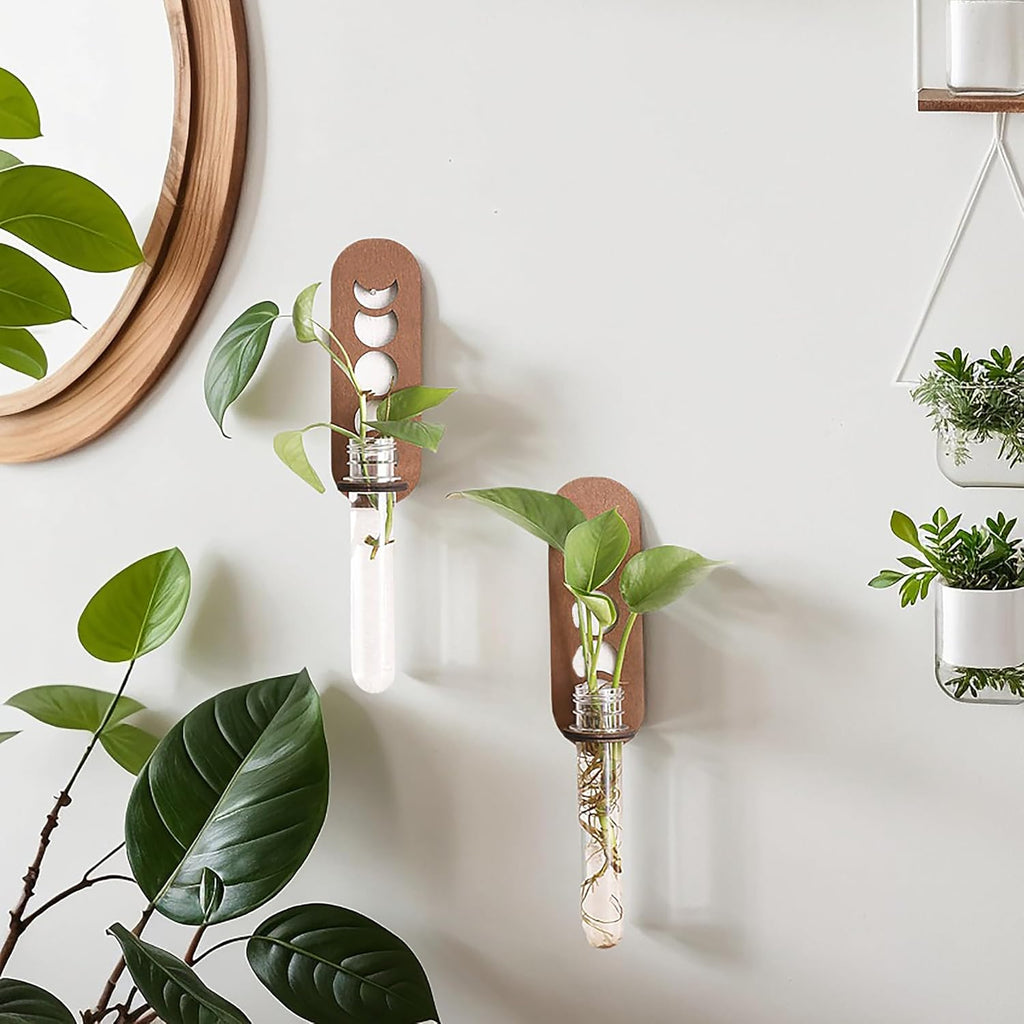 Artilady 2 Pack Plant Propagation Station Wall Hanging Wooden Moon Phase Plant Terrarium for Hydroponics Home Office Decor Test Tube Propagate Air Plant Cutting Holder
