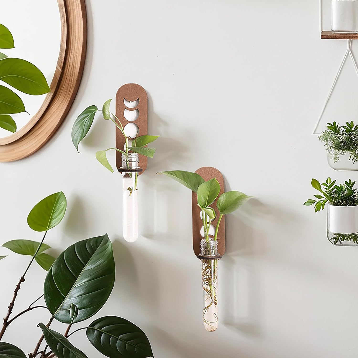 Artilady 2 Pack Plant Propagation Station Wall Hanging Wooden Moon Phase Plant Terrarium for Hydroponics Home Office Decor Test Tube Propagate Air Plant Cutting Holder