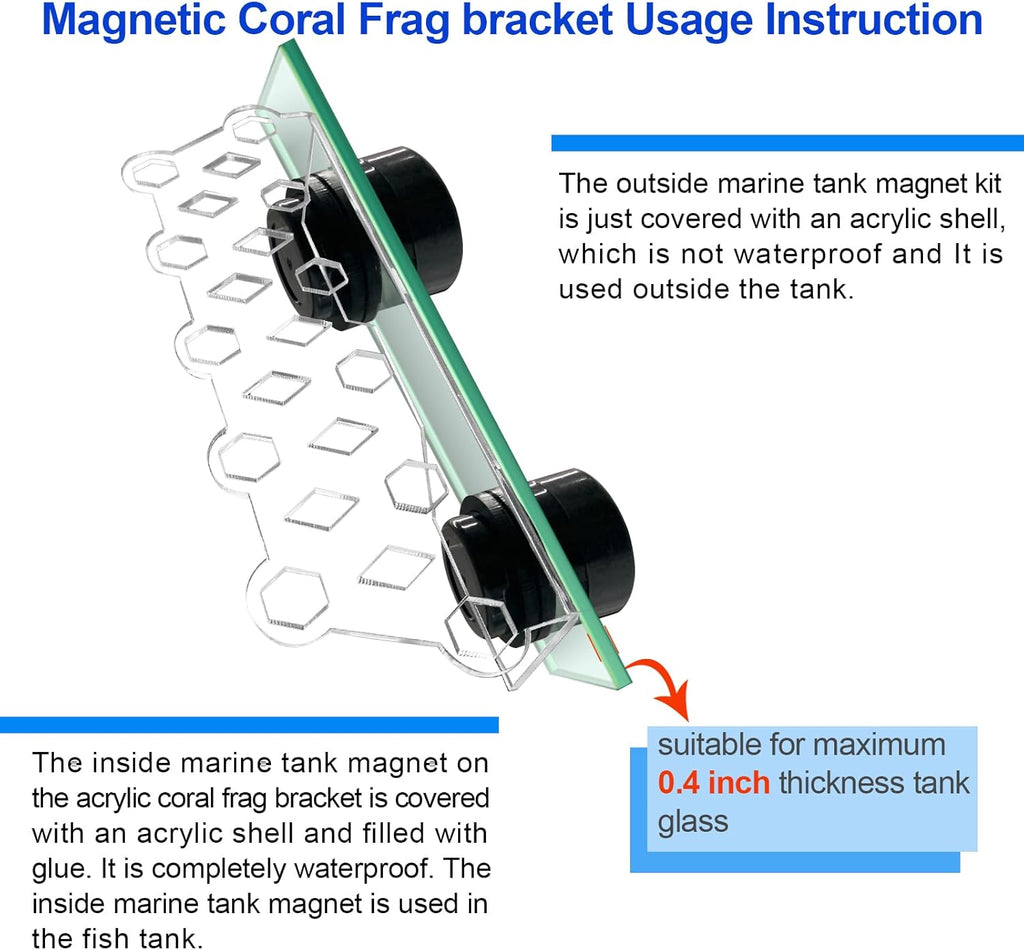 Aquarium Choice Coral Plug Holder Coral frag Rack Magnetic Holder Reef Magnets Holder for frag Racks (Coral Holder with 11 frag Plug)