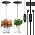 Grow Lights for Indoor Plants Small Potted - Full Spectrum, Auto 3/9/12H Timer, 10-Level Dimming & Adjustable Height - Compact Grow Light for Succulents, Herbs, Foliage in Home/Office (Black,2PACKS)