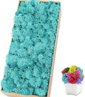 Preserved Reindeer Moss 17.6 OZ Blue Natural for Crafts, DIY Gift Christmas Decor, Wall Art, Potted Plants, Floral Fake Moss for Easter Table Decor Wedding Decorative(1.1 LB, Blue)