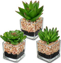 Briful Mini Fake Plants 3 Packs Cute Succulents Artificial Plants in Square Glass Vase Pot Potted Faux Succuletns for Living Room Dining Room Bathroom Kitchen Windowsill Table Decor