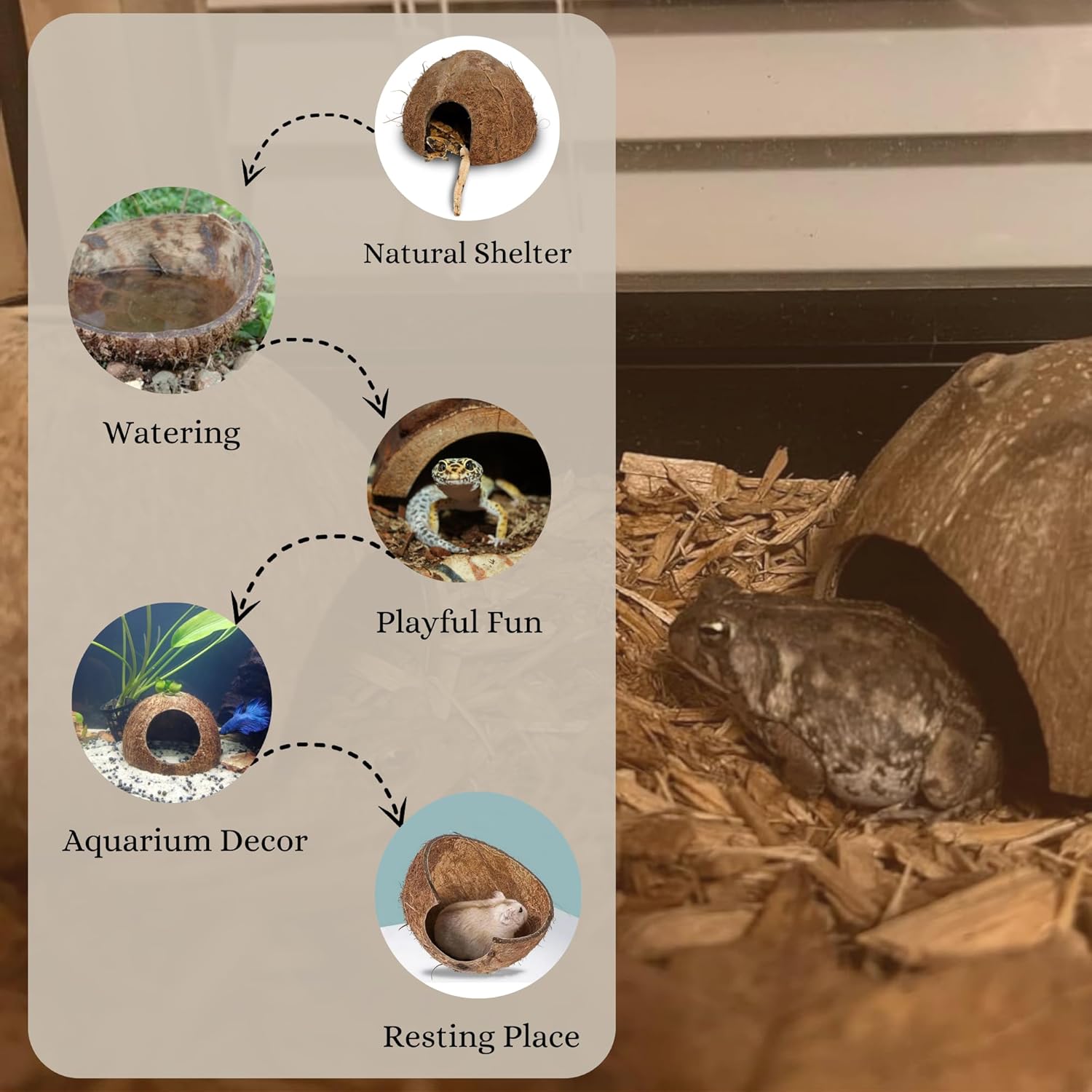 Natural Coconut Shell Hideout Cave, 5" Aquarium Fish & Reptile Hide Cave, Leopard Gecko Tank Accessories, Crested Geckos, Hermit Crabs, Spider, Snails & Small Lizards Climbing Toy & Decor