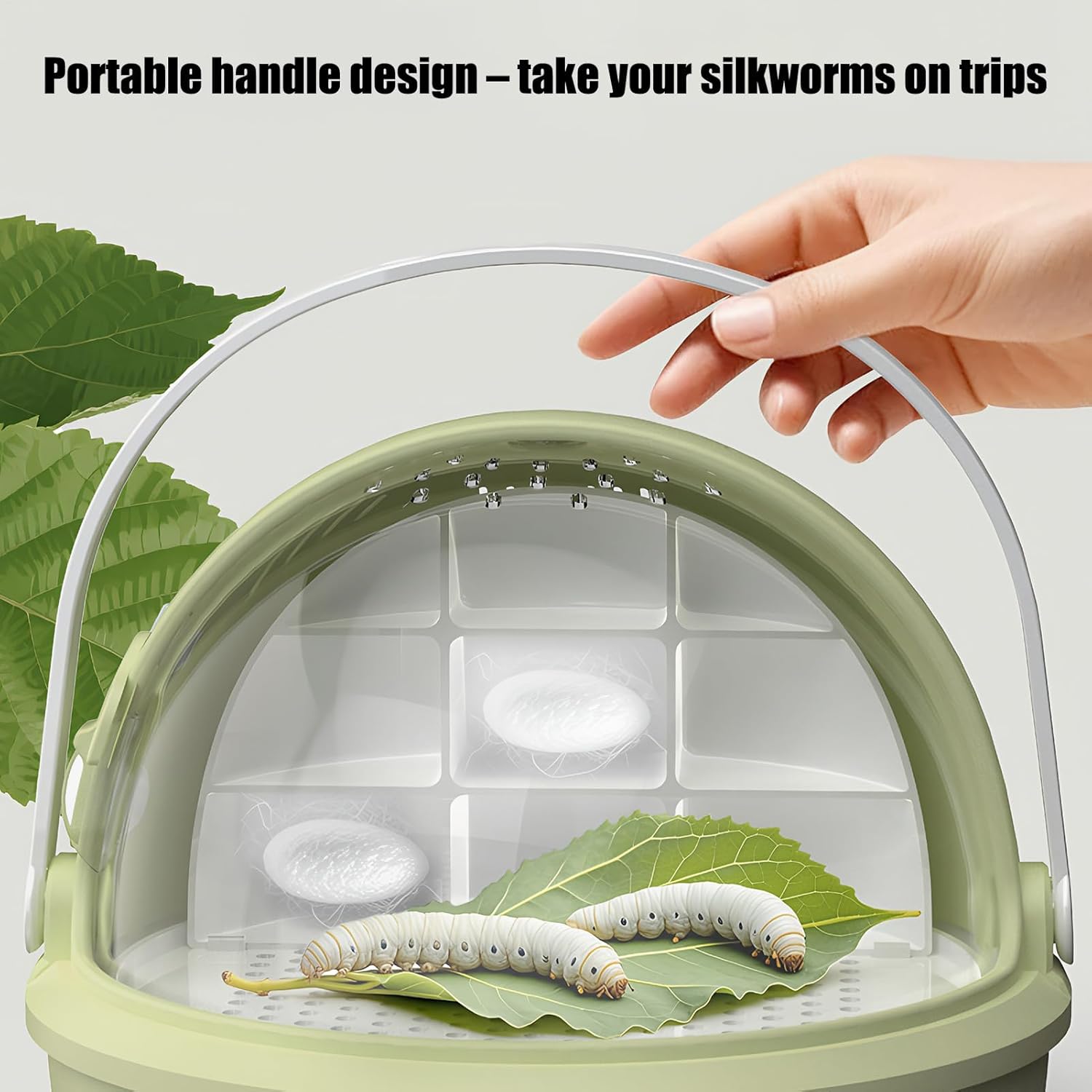 Reptile Feeding Box, Clear Terrarium Breeding Case, 8in Transparent Drawer Design, Acrylic Ventilated Container Details, Pet Habitat with Easy Access, Small Animal Science Project for Classroom
