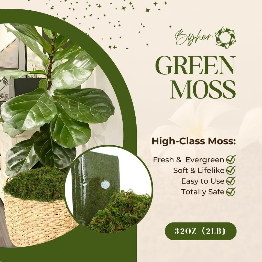 BYHER 35oz (2.18 Pounds) Green Artificial Moss for Indoor Crafts, Fairy Gardens, Table Centerpieces, Wedding Decor