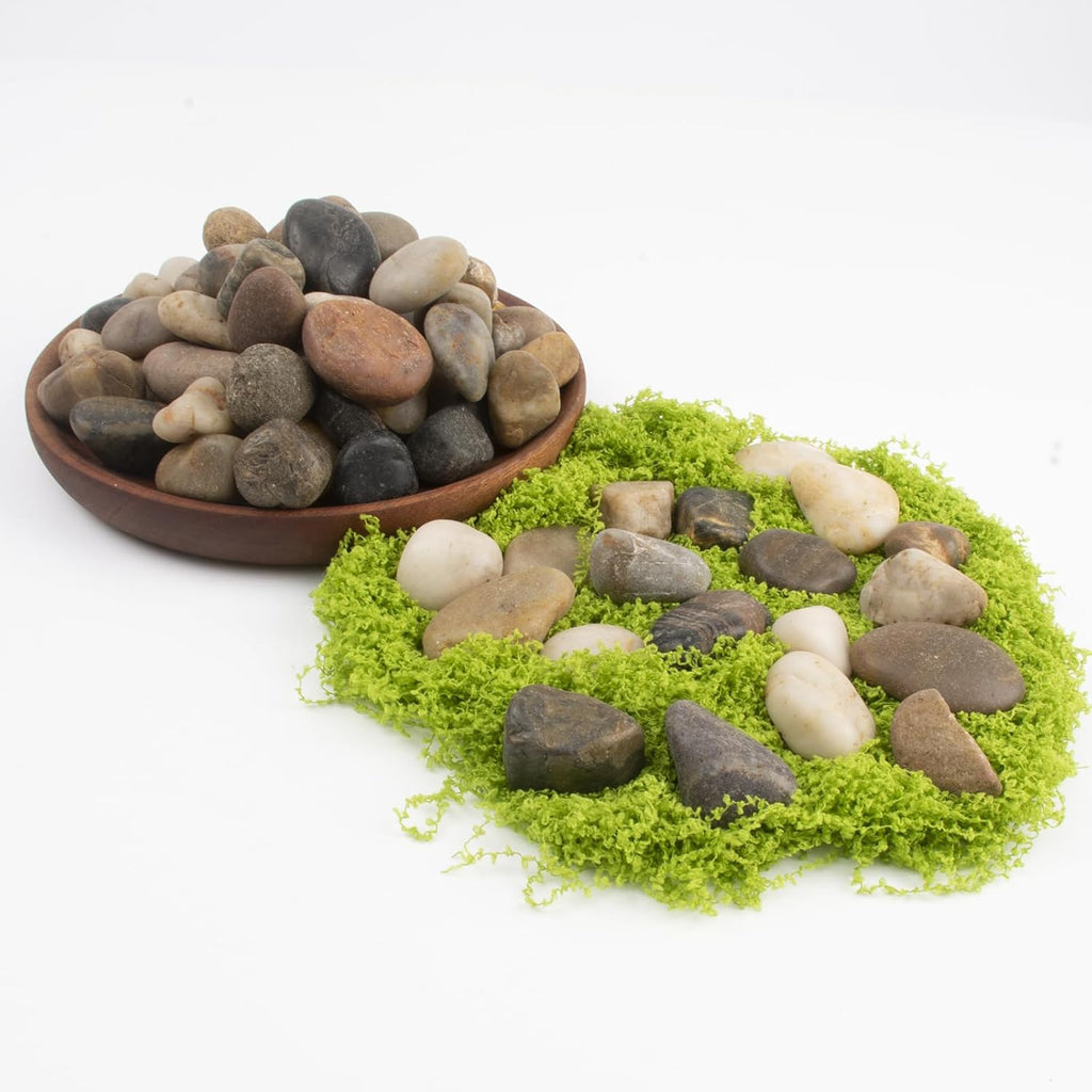 10LB Mixed Stones Pebbles River Rocks, Natural Beach Pebbles,0.5-1 Inch Decorative River Rocks for Landscaping Garden Paving Plant Rocks Crafting Walkways and Outdoor Decorative Stone