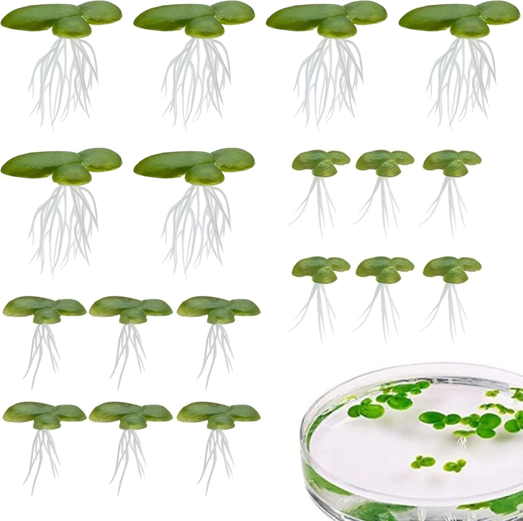 Floating Aquarium Plants, 18Pcs Lifelike Mini Green Duckweed with, 3 Sizes Plastic Floating Plants for Aquarium Fish Tank Decor for