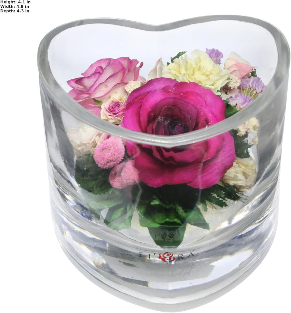 Fiora Flower | Premium Preserved Roses in Glass Vase | Lasts 5 Years | Long-Lasting Real Roses for Christmas, Weddings, Birthdays