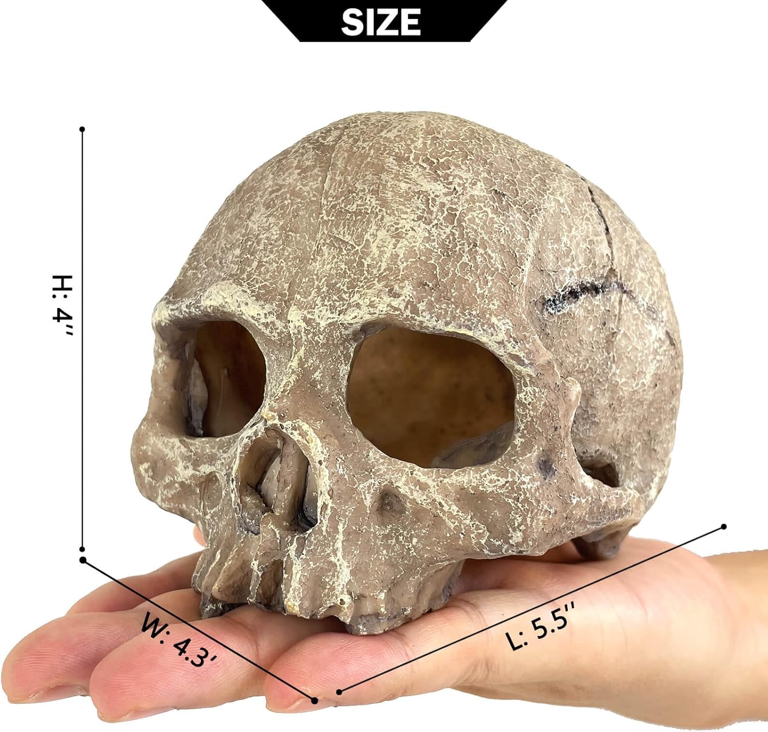 Aquarium Decoration for Fish Tank Skull Head Skeleton Aquarium Ornament Decorative Cave Landscape Aquarium Decor Reptile House Cave Fish Tank Decoration - Small
