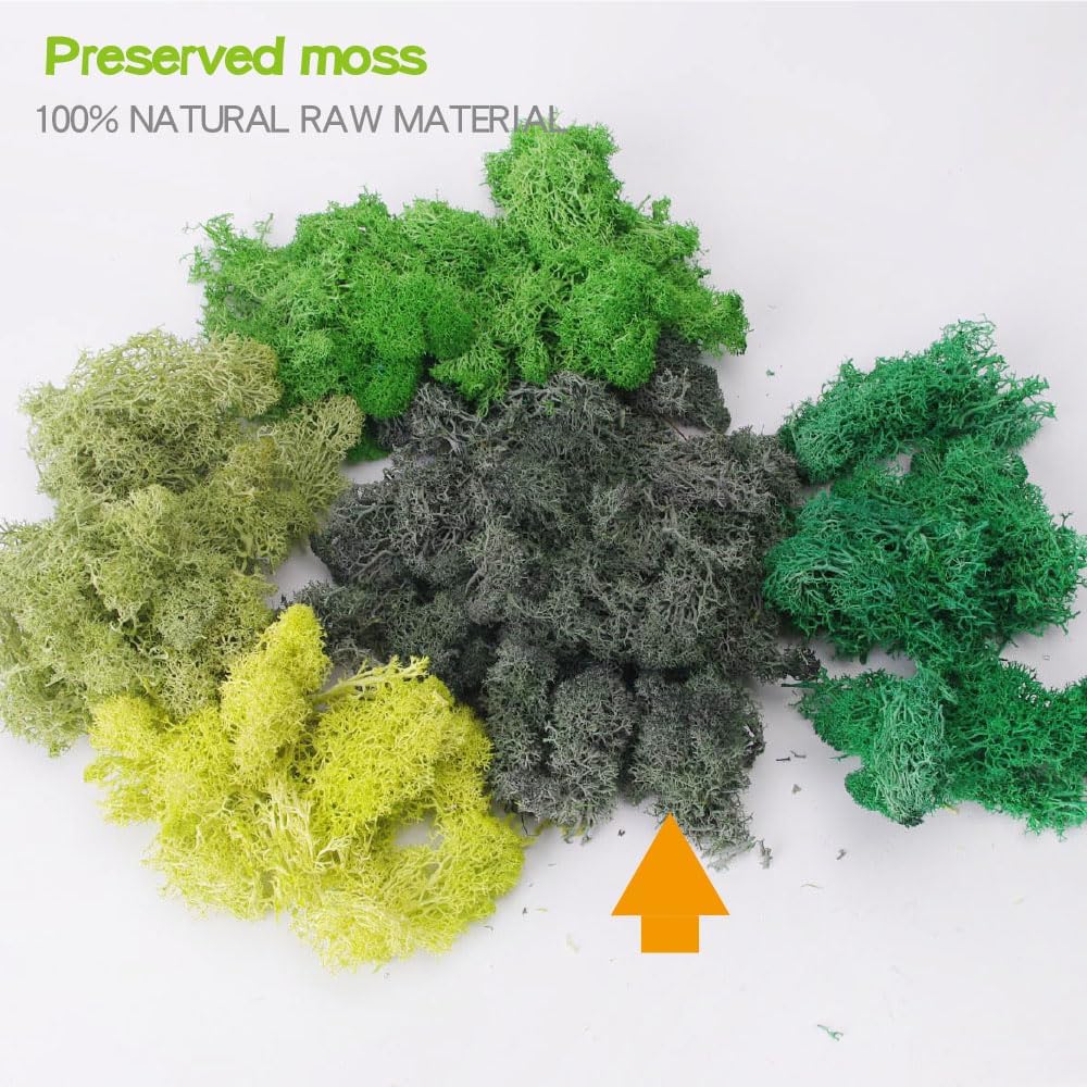 Preserved Reindeer Craft Moss - 17.6oz Natural Green DIY Kit for Terrariums, Wall Art & Decor