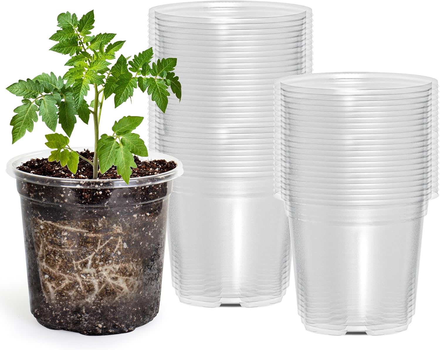 50 Packs 4 Inch Reinforced Clear Nursery Pots with Drainage Holes, Transparent Plastic Plant Pot Seedling Planter for Vegetable Propagation, Root Cutting, Seed Starting