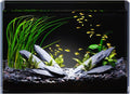 5 Gallon Glass Fish Tank Ultra Clear Rimless Aquarium, Built-in Black Background Rectangular Tank