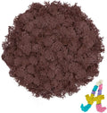 Preserved Reindeer Moss 3.5 OZ Brown Natural for Crafts, DIY Gift Christmas Decor, Wall Art, Potted Plants, Floral Fake Moss for Easter Table Decor Wedding Decorative(3.5 OZ, Brown)