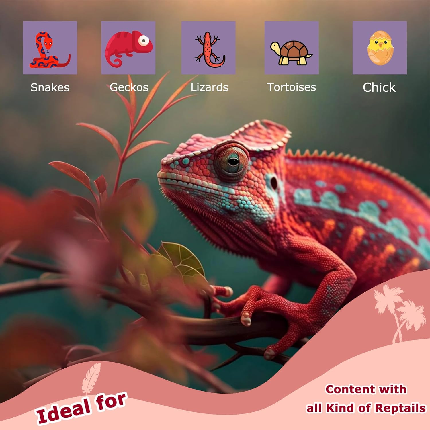 60W Red Infrared Heat Lamp Bulb for Reptiles – Basking Spot Light for Lizards, Bearded Dragons, Snakes & Chicks, Ideal E26 Heater for Terrariums, Chicken Coops & Brooders | 2 Pack