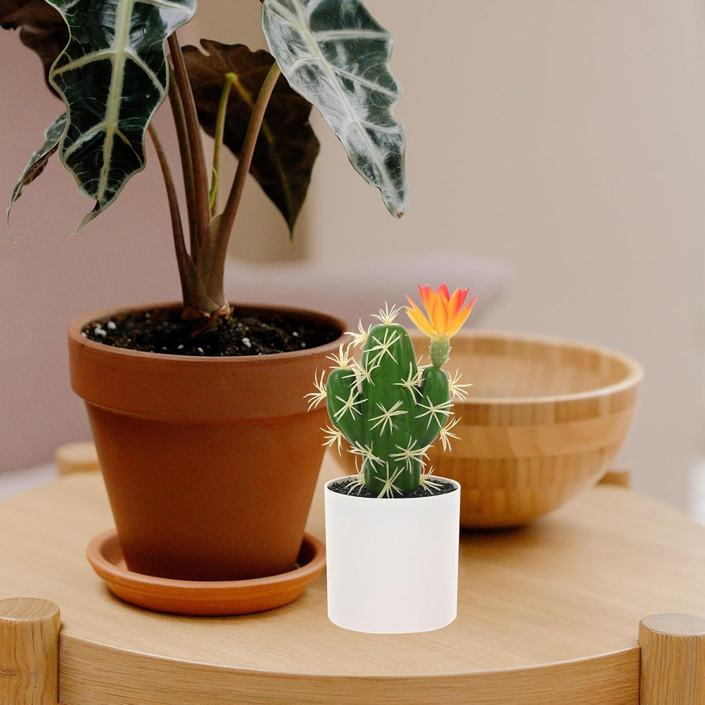 HOMSFOU Artificial Cactus Bonsai Lifelike Plastic Potted Cactus Ornament for Tabletop Decor and Easy Care Fake Plant for Home Office Decoration