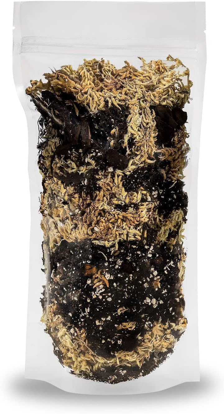 Gardenera Premium Orchid Mix by GARDENERA - 10 Quart - Fern + New Zealand Pine Bark + Sphagnum Moss + Perlite | Best for Growing and Repotting Orchids (2 Bags of 5 QT)