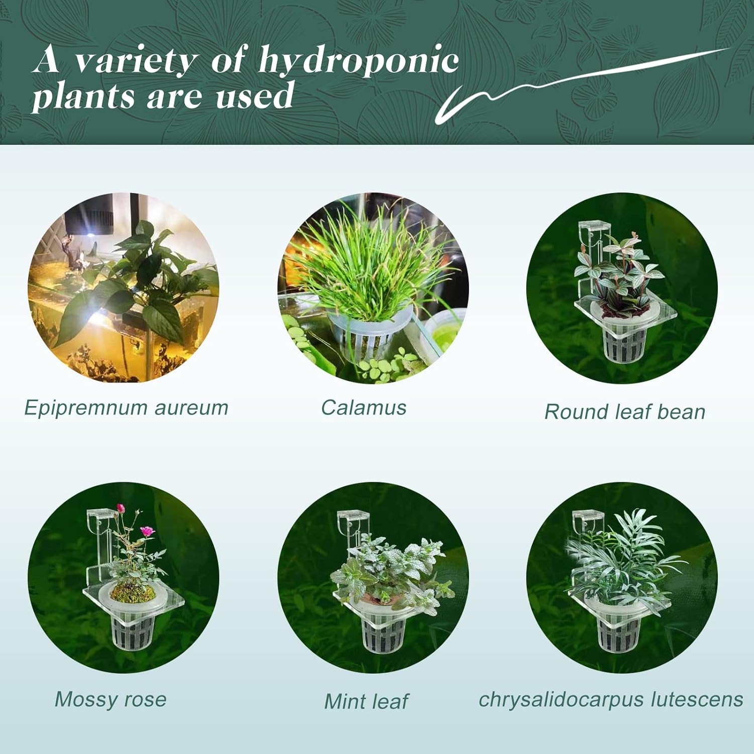Upgrade Acrylic Aquarium Plant Holder Hanging Aquatic Plant Holder,Adjustable Hook Fish Tank Pot for Hanging Cultivation and Aquarium Decor