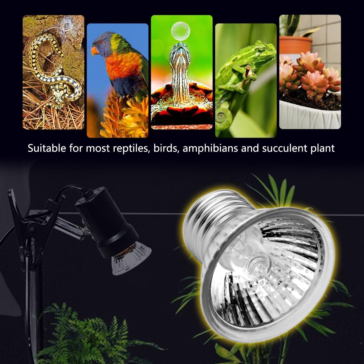 DOMICA 4-Pack 50W UVA UVB Light Bulbs for E27 Reptile Heat Lamp, Basking Spot Light Simulated Sunlight, Heating Lamp for Turtle, Lizard, Snake, Beared Dragon, Amphibians