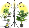 5 in 1 Grow Lights for Indoor Plants Full Spectrum, LED Grow Lights with Stand, Auto On/Off Timing 3/6/9/12/15/18H & 10 Brightness Levels Plant Growing Lamps for Indoor Plants.