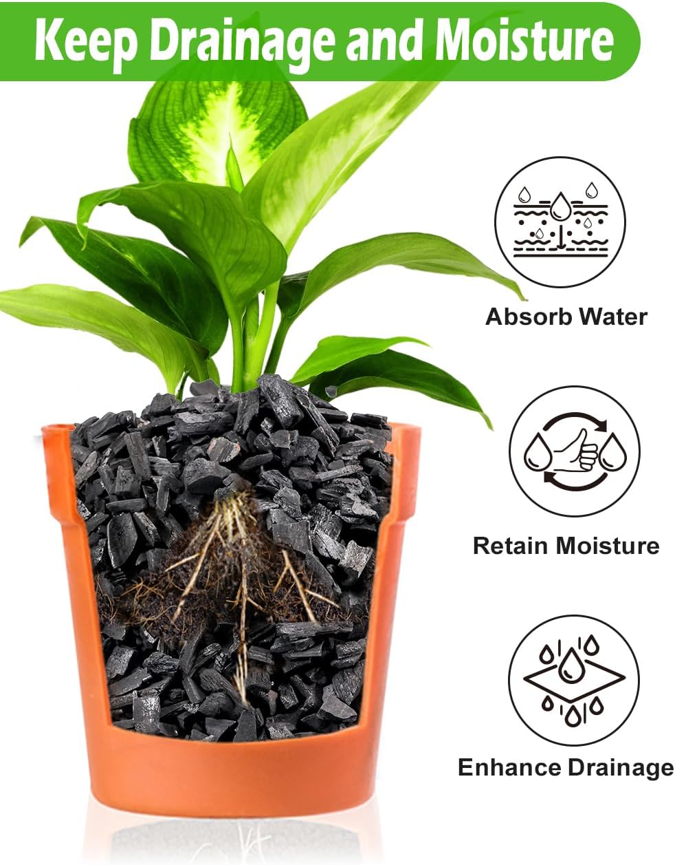 TOYPOPOR Horticultural Charcoal for Indoor Plants Hardwood Potting Soil Amendment Helps Improve Drainage for Orchids, Succulent, Cactus, Terrariums, and Gardening 1Quart
