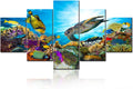 Room Wall Pictures Colorful Coral Reef Wall Art for Living Room Landscape Paintings 5 Piece Prints on Canvas Undersea Artwork Modern Home Decor Galler-Wrapped Wooden Framed Ready to Hang(60''Wx 32''H)