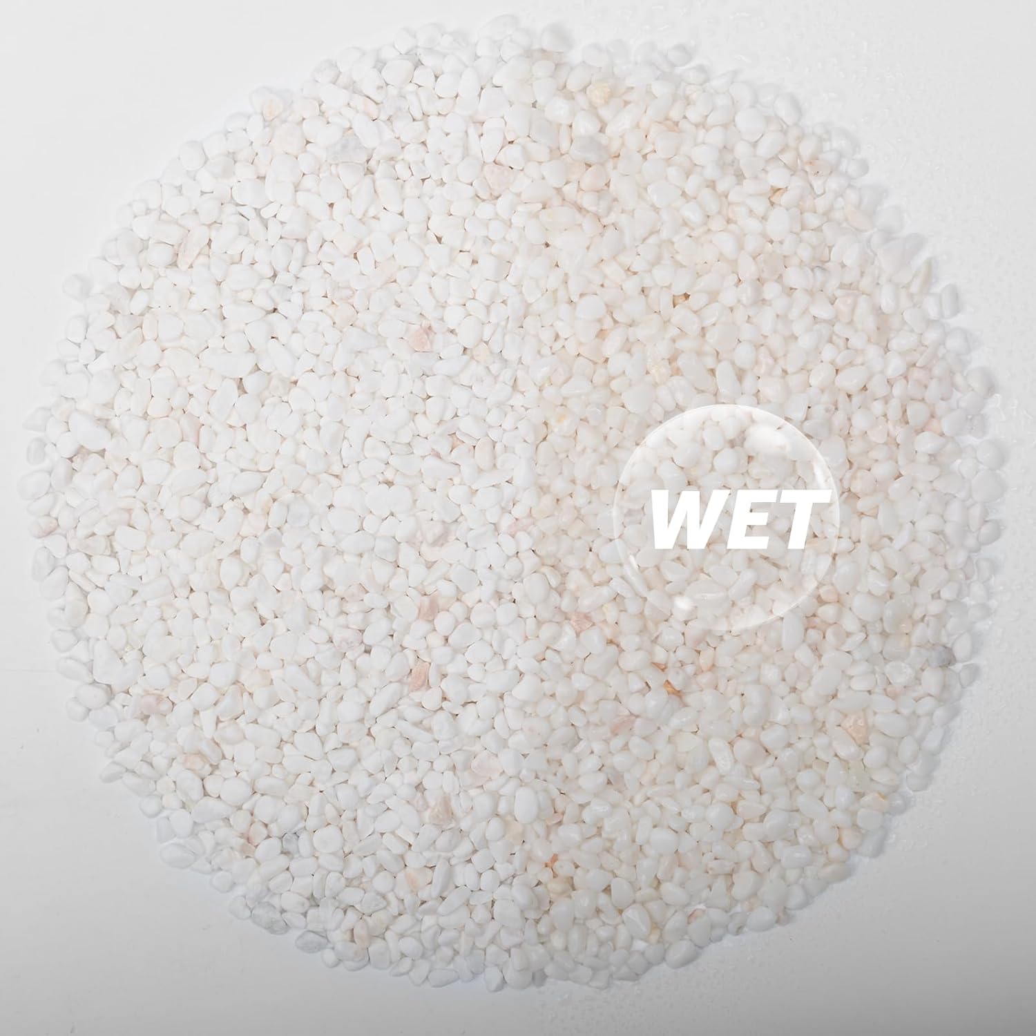 1/5 Inch White Succulent Cactus Gravel, 10 lbs – Ideal for Succulent Plant Pots, Vase Fillers, Glass Containers, Aquariums, Patios, and Outdoor Gardening River Stones (White, 10 Pounds)