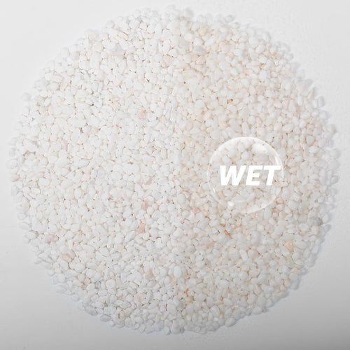 1/5 Inch White Succulent Cactus Gravel, 10 lbs – Ideal for Succulent Plant Pots, Vase Fillers, Glass Containers, Aquariums, Patios, and Outdoor Gardening River Stones (White, 10 Pounds)