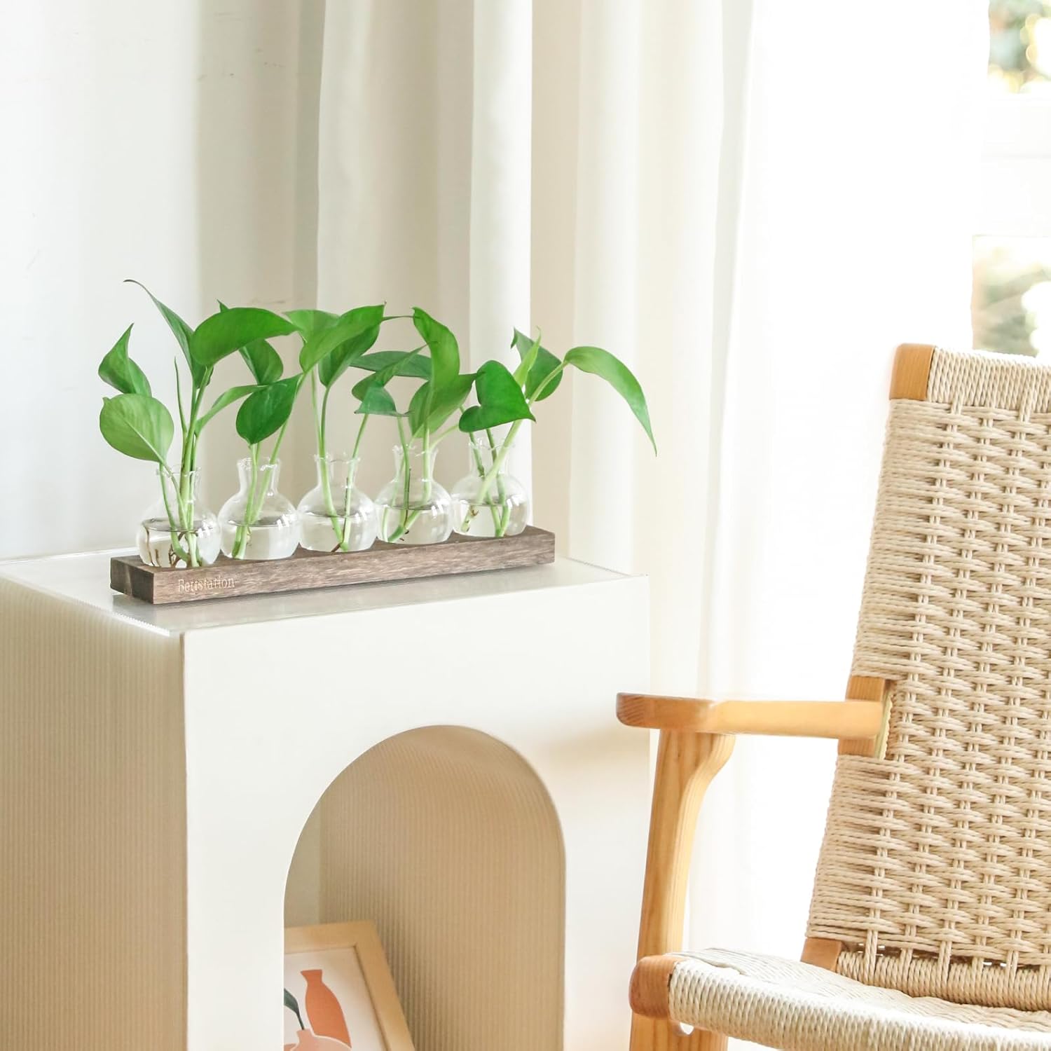 Plant Propagation Station, Plants Terrarium with Wooden Stand 5 Bulb Houseplants Glass Vase for Hydroponic Plants Gift for Plant Lovers Home Office Decor