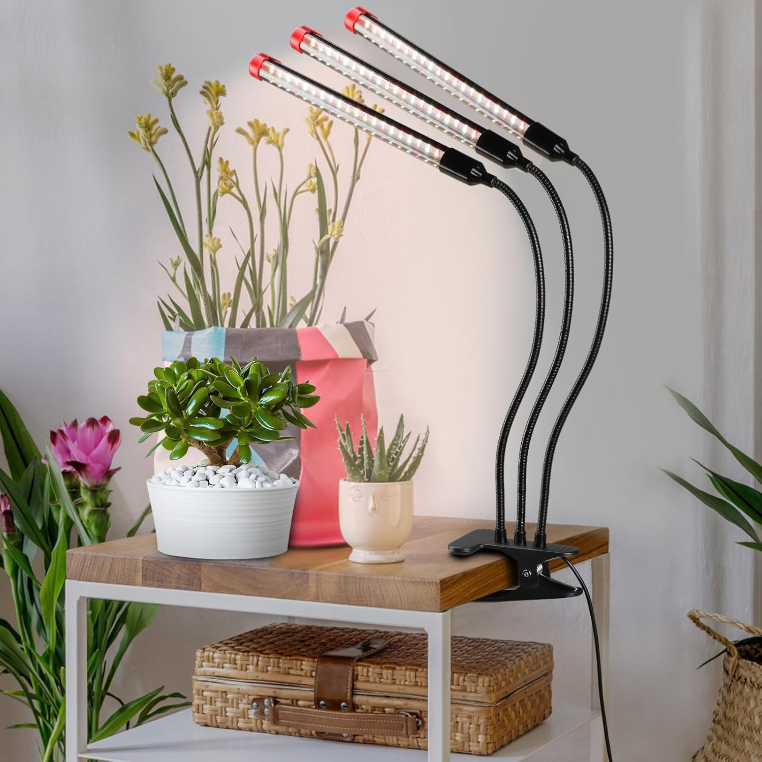 Gamechanger! 27W Power Home Plug, NOT 10W Adapter, FECiDA 3Head Clip Grow Lights for Seed Starting with Timer, Enough Bright Like Sun Full Spectrum Grow Lights for Indoor Plants, Bonsai, Seedlings