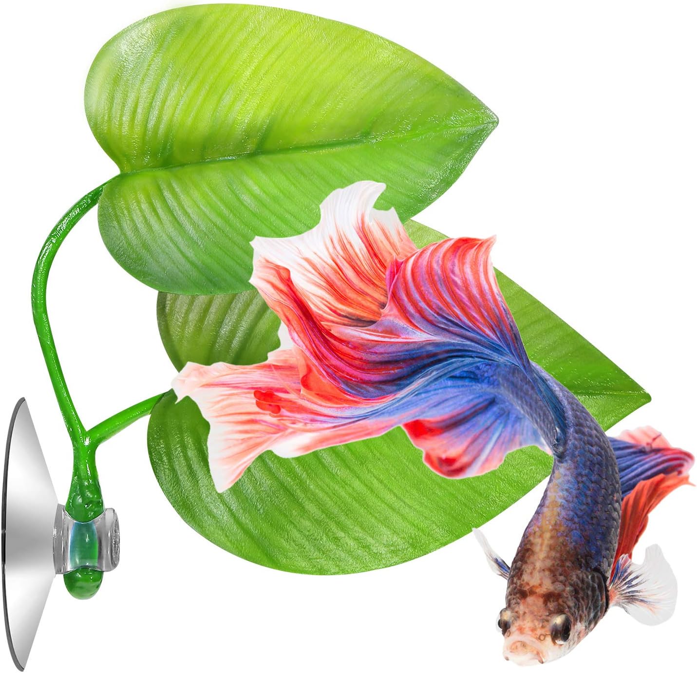 Boao 4 Pieces Betta Fish Tank Accessories Betta Leaf Hammock Pad Simulating The Natural Habitat for Tank Aquarium Spawning Grounds Breeding Resting Bed(Double Leaf)