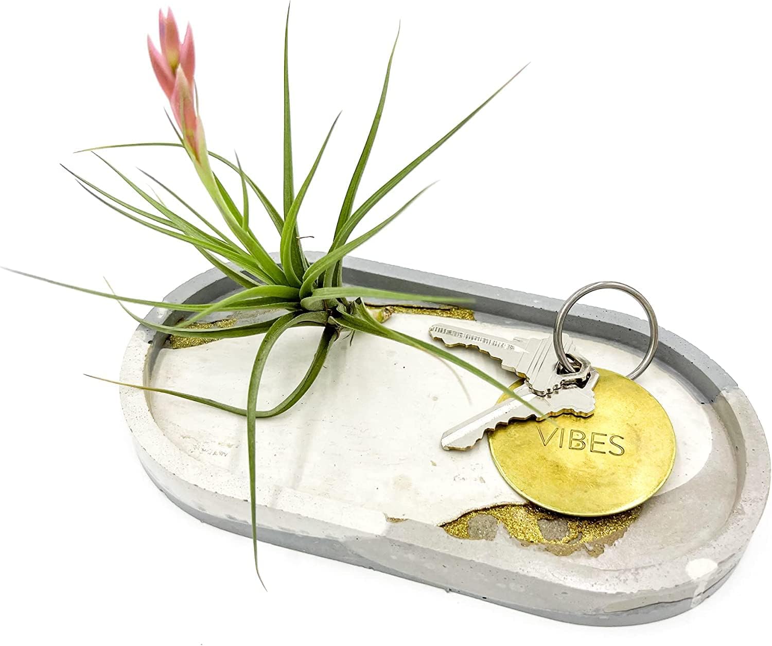 Air Plants - Flowering Tillandsia Aeranthos, Large 3-5" - 5ct - Live Arrival Guaranteed - House Plants for Home Decor & Gift