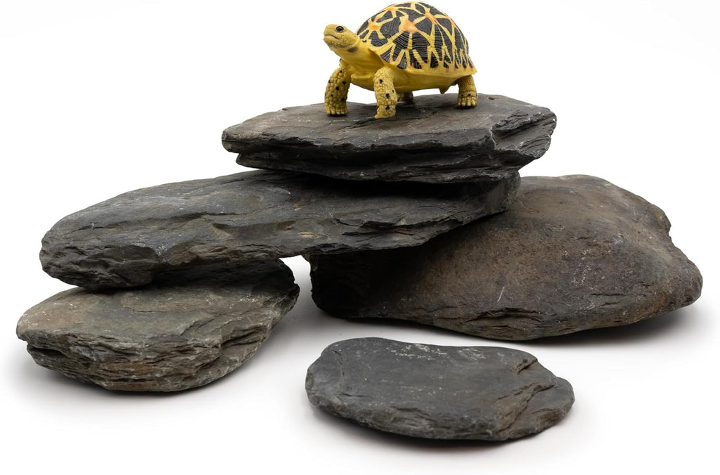 Aquarium Stone Natural Slate Stream Turtle Tank Rocks 3-7 inches Fish Rock for Aquarium Aquascaping Shrimp Tanks Amphibian Enclosures Paludarium-5lb