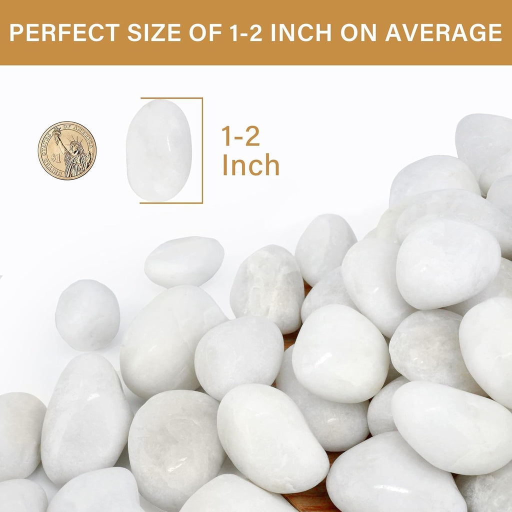 NUPICK 12lb White River Rocks for Plants Indoor, 1-2Inch Pebbles for Vases Fillers, Decorative Gravel for Fish Tank, Natural Polished Stones for Succulent, Bonsai, Landscaping, Bird Baths