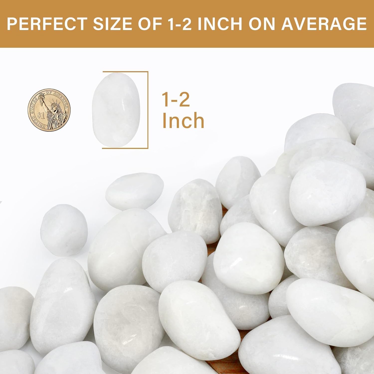 NUPICK 6lb White River Rocks for Plants Indoor, 1-2Inch Pebbles for Vases Fillers, Decorative Gravel for Fish Tank, Natural Polished Stones for Succulent, Bonsai, Landscaping, Bird Baths