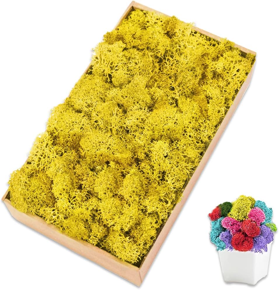 Preserved Moss for Crafts Yellow Reindeer Moss for Potted Plants, Craft Decorative Moss Decor for Wall Art, Dried Moss(7oz, Yellow)
