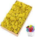 Preserved Moss for Crafts Yellow Reindeer Moss for Potted Plants, Craft Decorative Moss Decor for Wall Art, Dried Moss(7oz, Yellow)