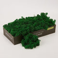 Preserved Reindeer Moss Natural Green DIY Kit Gardenning Art Wall Decor Florist Decor Easter Table Decor Wedding
