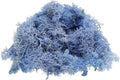 uxcell Preserved Reindeer Moss, 4 OZ Fake Moss for Crafts Artificial Dried Moss for Decoration, Craft, Terrariums, Potted Plants, Centerpieces Fairy Gardens (Sky Blue)