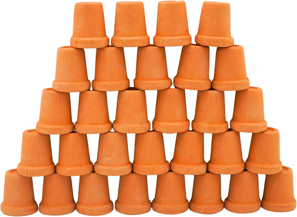 Mini Terracotta Pots – Small Clay Flower Pots for Succulents, Cactus, DIY Crafts, Fairy Garden, School Projects, Mini Planters – Set of 30 (Straight Cylinder, 0.6 Inch)