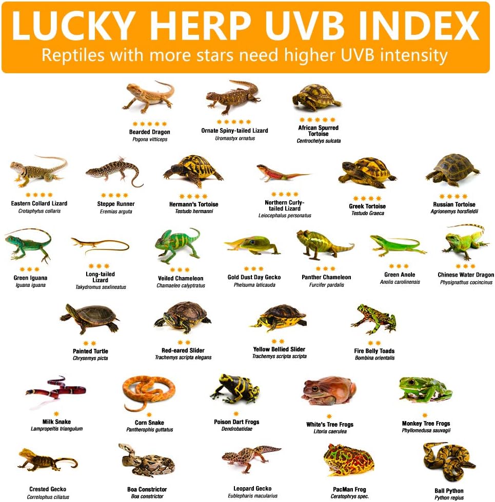 LUCKY HERP 100 Watt UVA UVB Full Spectrum Vapor Heat Lamp Bulb, Self-Ballasted UV Heat Lamp/Bulb/Light for Reptile and Amphibian, Sun Lamp for Bearded Dragon Lizard Turtle(Coated)
