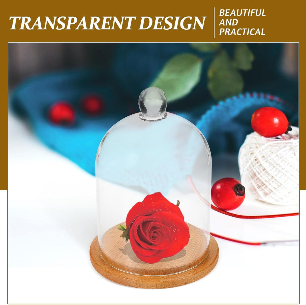 POPETPOP Glass Cloche Dome Bell Jar Display Case Glass Display Dome Terrarium Jar for Plants Collectible Figure （Only single cover）