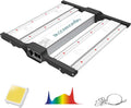 BLOOMGREEN 100W LED Grow Light, 2x2ft Coverage, Dimmable Full Spectrum Grow Lamp for Seedlings & Small Indoor Tents, High Efficiency for Germination & Vegetables – Final Clearance