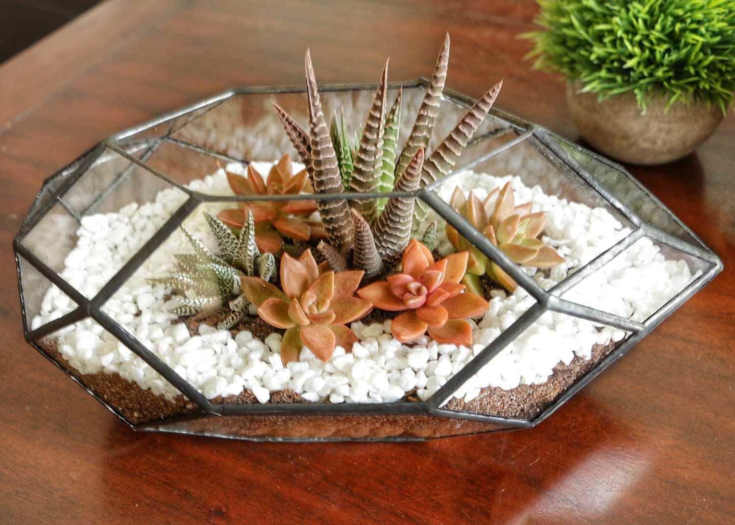 Ferrisland Handmade 10" Large Glass Terrarium Irregular Geometric Planter Indoor Air Plants Holder Window Balcony Display Succulent Flower Pot, Black