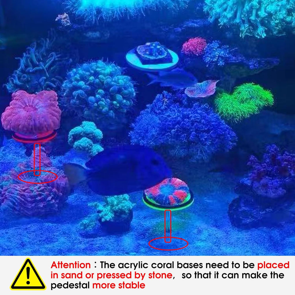 Live Coral Reef frag Rack，frag Plugs Holder for Coral，Fluorescent Acrylic Coral frag Bracket，This Set Contains 8 columnar Acrylic Holders and 8 White Premium Ceramic Bases