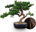 Artificial Bonsai Tree 16" Tall with Realistic Wood and Ceramic Pot, Fake Plants for Home, Bedroom and Office Desk, Japanese Decor