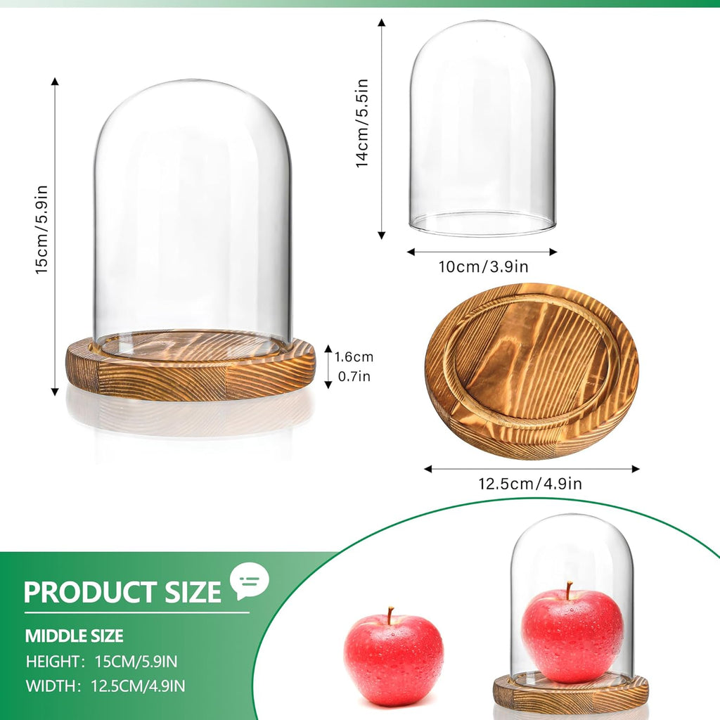 ZEERSHEE 5.5“ x 3.9“ Glass Display Dome Cloche with Wooden Base for Home Decoration