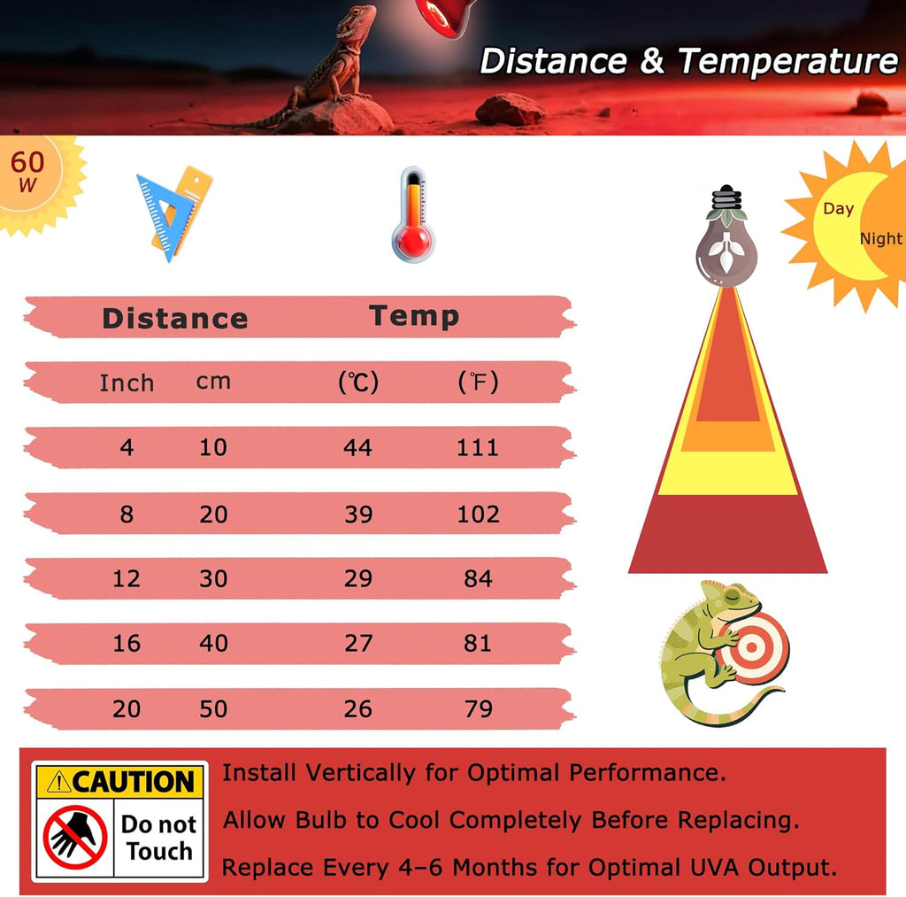 60W Compact Red Infrared Heat Lamp Bulb – Provides All-Day Heating to Support Metabolism, Digestion & Appetite, Basking Spot Light for Reptiles, Lizards, Terrarium & Brooder Heater, 2.5"