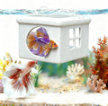 Marble Gray Floating Betta Fish Hideout with Window – 3D Breeding Box & Resting Cave – Floating Betta Hammock, Feeding Platform & Fish Tank Accessories for Nano Aquariums, Bowls & Small Tanks